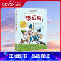 国际大奖小说傻瓜城 [正版]央视网国际大奖小说傻瓜城 一个会让你捧腹大笑的故事 新蕾出版社 XL