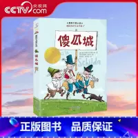 国际大奖小说傻瓜城 [正版]央视网国际大奖小说傻瓜城 一个会让你捧腹大笑的故事 新蕾出版社 XL
