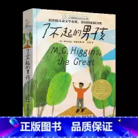 了不起的男孩 [正版]央视网了不起的男孩 长青藤大奖小说维吉尼亚·哈密尔顿著 8-10-12岁儿童文学三四五六年级小学生