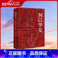 何以华夏 [正版]央视网何以华夏 文物上的中华民族 翁淮南 主编 会说话的文物 历史故事读懂中国 博物馆物质文化史 中华