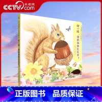 [央视网]小手摸摸大自然触摸书 碰一碰,谁的身体扎扎手 QH [正版]央视网小手摸摸大自然触摸书 碰一碰,谁的身体扎扎手