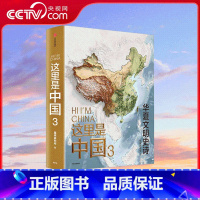这里是中国3 贴纸版 [正版]央视网这里是中国3 贴纸版 一书铺开数千年华夏文明璀璨长卷 中华文明有想象力创造 WX