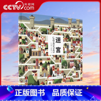 迷宫 [正版]央视网迷宫 读小库 3-6岁 儿童走迷宫大冒险益智书 亲子互动游戏书 专注力训练 左脑右脑全脑开发 逻辑思