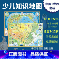 [正版]DT少年儿童中国和世界知识地图套装 全新升级版 高清印刷 办公教学家庭 加厚不反光 中国地图出版社 少儿地理科
