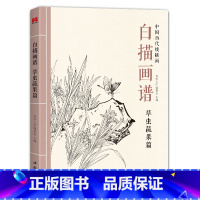 [正版]白描画谱 草虫蔬果篇 中国工笔技法画册集书籍入门初自学者零基础教程材成人手绘临摹勾线名家底稿图大全美术绘画sh