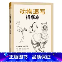 [正版]经典全集 动物速写描摹本 零基础画画入门新手自学教程书籍线描sh