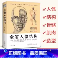 [正版]2020新书 全解人体结构艺用解剖学工具书素描书籍美术绘画sh