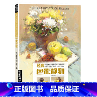 [正版]色彩静物书籍水粉临摹范本王画照片艺联高考乐突围中国美院高手sh