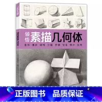 [正版]领悟素描几何体sh