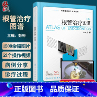 [正版] 根管治疗图谱 第2版二版 彭彬口腔临床操作技术丛书 现代根管治疗标准程序临床操作视频牙体牙髓病根尖周病修复人