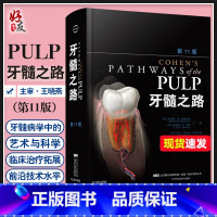 [正版] 牙髓之路 第11版 口腔书籍医学类专业书籍 牙髓病学的高阶科学 牙科牙髓治疗根管治疗图谱 978755910