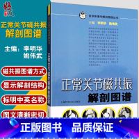 [正版]正常关节磁共振解剖图谱 医学影像学解剖图谱丛书 李明华 姚伟武主编 上海科学技术出版社 解剖图谱 医学影像学9