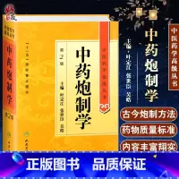 [正版] 中药炮制学 第2二版 中医药学高级丛书 叶定江十一五医学图书中医古籍现代中药炮制理论方法临床应用中药炮制教