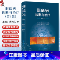 眼底病诊断与治疗第4版 第四版主编黄叔仁等 每一种疾病的病因发病机制病理临床表现等均围绕诊断和治疗两个 [正版]眼底病诊