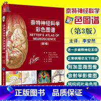 [正版] 奈特神经科学彩色图谱 第三版 第3版 神经系统临床解剖书 内科学神经科学抑郁症睡眠障碍临床医学 奈特神经系统