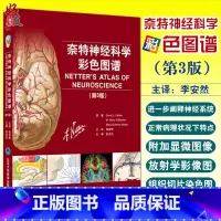 [正版] 奈特神经科学彩色图谱 第三版 第3版 神经系统临床解剖书 内科学神经科学抑郁症睡眠障碍临床医学 奈特神经系统