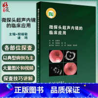 [正版] 微探头超声内镜的临床应用 胡端敏 诸琦主编 真实临床病例超声基本原理 内窥镜检超声波诊断内科学 人民卫生