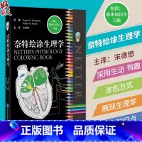 [正版] 奈特绘涂生理学 人体生理学图集 100多个生理学重点主题 包括临床知识点习题 宋德懋主译 北京大学医学出版社