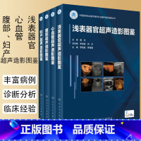[正版]超声造影图鉴丛书套装 浅表器官诊断学医学磁共振CT有关成像彩超入门技巧读片图谱妇产腹部心血管b超重症人民卫生出
