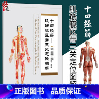 [正版]十四经筋 肌筋膜区带三关定位挂图 吴汉卿 吴军瑞 吴军尚编著 人民卫生出版社9787117241199