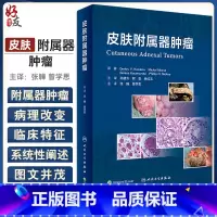 [正版]皮肤附属器肿瘤 张韡 曾学思主译 皮肤附属器肿瘤分类和相关病变 解剖组织胚胎学基础 毛囊分化疾病 人民卫生出版