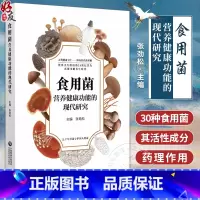 [正版]食用菌营养健康功能的现代研究 食药用菌营养功能成分功效特点灵芝鸡腿菇猴头菇食药用菌成分活性研究成果科普 978