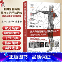 标准 [正版]肌肉骨骼疼痛综合征的手法治疗 循证与临床实践进展 王于领 蔡永裕 各关节手法治疗力学机制疾病诊治 人民卫生