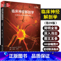 [正版]临床神经解剖学 第29版 神经内外科医师专业基础教科书 神经病精神病学书籍 王维治 王化冰 主译9787117
