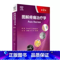 [正版]图解疼痛治疗学 第2版 一部临床诊断与治疗的疼痛医学图谱 详述各部位疼痛的临床诊断 王保国 罗芳 安立新 主译