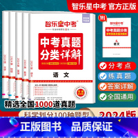 24版语文 九年级/初中三年级 [正版]2024版中考真题分类卷全国中考真题分类详解 全国通用 初中必刷题型+超详解答案