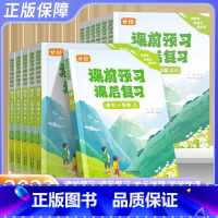 语文+数学+英语[人教版] 三年级上 [正版]2023秋季新版甘橙课前预习课后复习一二三四五六年级上册小学语文数学英语同