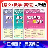 ❤️全套3本:语数英[人教版] 六年级上 [正版]2024版高效学习周计划少年素质教育报语文数学英语一二年级三四五六年级