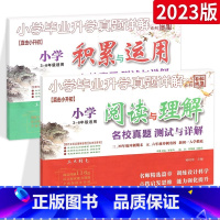 [⭐尖子生 推荐⭐]阅读与理解+积累与运用2本 小学通用 [正版]小升初小学文言文+小学古诗词名校真题测试与详解小学毕业