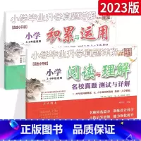 [⭐尖子生 推荐⭐]阅读与理解+积累与运用2本 小学通用 [正版]小升初小学文言文+小学古诗词名校真题测试与详解小学毕业