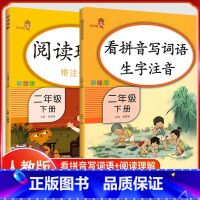 [正版]2020新版二年级下册阅读理解+看拼音写词语同步训练 乐学熊人教版小学2年级阅读理解看拼音生字注音 小学语同步
