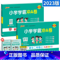 [大部分客户的选择]二年级上册语数 小学二年级 [正版]2024新版小学学霸冲A卷二年级上册下册语文数学人教版 pass