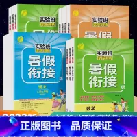 ------------▹▹⭐七升八年级⭐◃◃------------ 初中通用 [正版]2023实验班暑假衔接语文数学