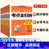 [语文]人教版 一年级上 [正版]2023新版小学语文考点知识全归纳人教版 一二三年级上册四五六年级上人教版同步练习册阅