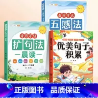[积累提升3本]扩句+五感+优美句子积累 小学通用 [正版]小学语文扩句法每日晨读五感法看图写话一二三年级7天学会写作文