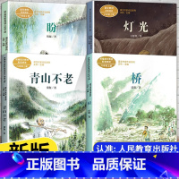 盼[6上] 小学六年级 [正版]课文作家作品系列六年级上册下册全套小学生统编版语文配套同步课外拓展阅读书青山不老盼桥灯光