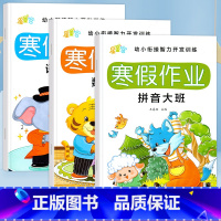 [3本]拼音+数学+语言 [正版]幼儿园大班寒假作业大班幼儿练习册全套数学拼音语言寒假练习册一日一练学前儿童思维训练书籍