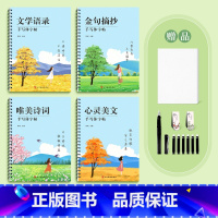 全套四本(送100张临摹纸+磁性书签+1笔6墨囊) [正版]行书字帖陈书凝手写体女生连笔字体大气漂亮临摹练字帖成人大学生