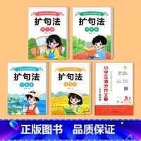 扩句法全套+三年级满分作文 [正版]扩句法写作文练字帖小学生字帖一二三四五六年级上下册语文同步每日一练楷书描红满分作文写