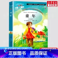 人生必读书美绘版—童年 [正版]童年 美绘版 高尔基的童年 小学生课外阅读书籍 青少年版快乐读书吧老师无障碍阅读导读版青