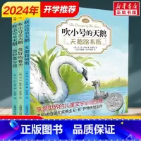 [正版] 吹小号的天鹅 书 EB怀特经典三部曲 注音版 天鹅路易斯+奇妙夏令营+美好的春天 全3册 儿童文学经典