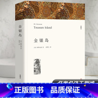 金银岛 [正版]金银岛 斯蒂文森著 原著完整版无删减中文版附插图 小学生初中生高中生阅读课外书课外阅读书籍世界经典文学名