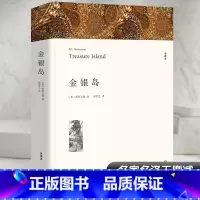 金银岛 [正版]金银岛 斯蒂文森著 原著完整版无删减中文版附插图 小学生初中生高中生阅读课外书课外阅读书籍世界经典文学名