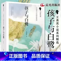 [正版]孩子与白鹭 王勇英 晨光出版社 青少年版小学三年级阅读四五六年级课外书彩色插图版风信子纯美儿童文学小说系列