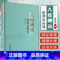 [正版]六经辨证原理及临证 临证方治详解张仲景经方六经辨证六经辨治生病理证治方论医案历代方论发挥医案方剂 中国医药科技