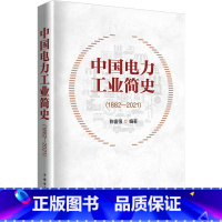 [正版]中国电力工业简史 1882-2021 陈富强 编 自1882年起中国电力工业曲折而波澜壮阔的历程 书店图书籍